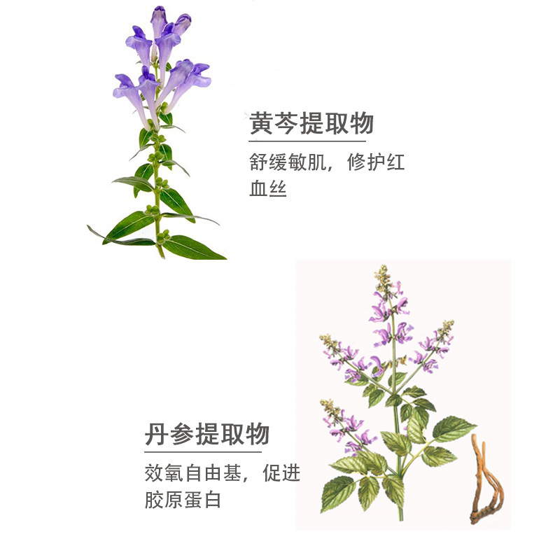 金盞花平衡護膚爽膚水